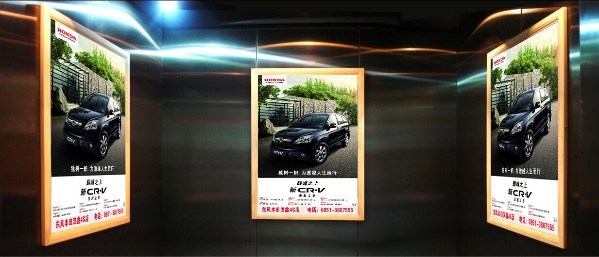 &#66;&#20307;&#32946;&#30452;&#25773;